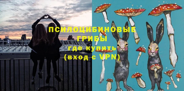дурь Богородицк