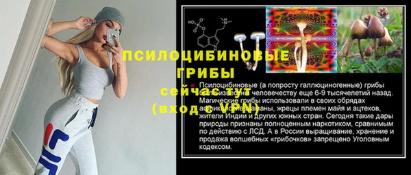 дурь Богородицк