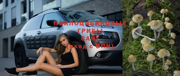 прущая мука Арсеньев