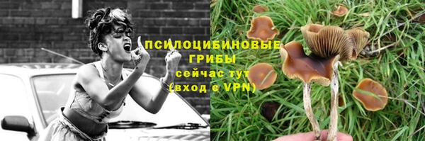 стаф Покров