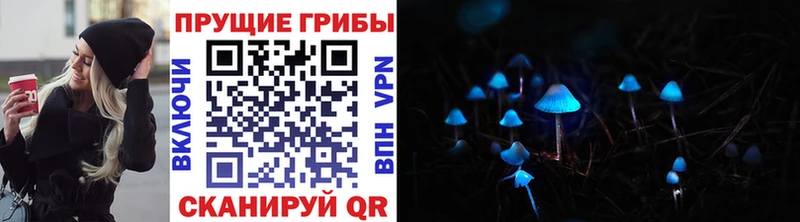 Псилоцибиновые грибы мухоморы  наркота  kraken ССЫЛКА  Кандалакша 