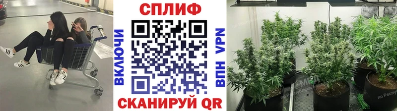 хочу наркоту Кандалакша Конопля ГИДРОПОН